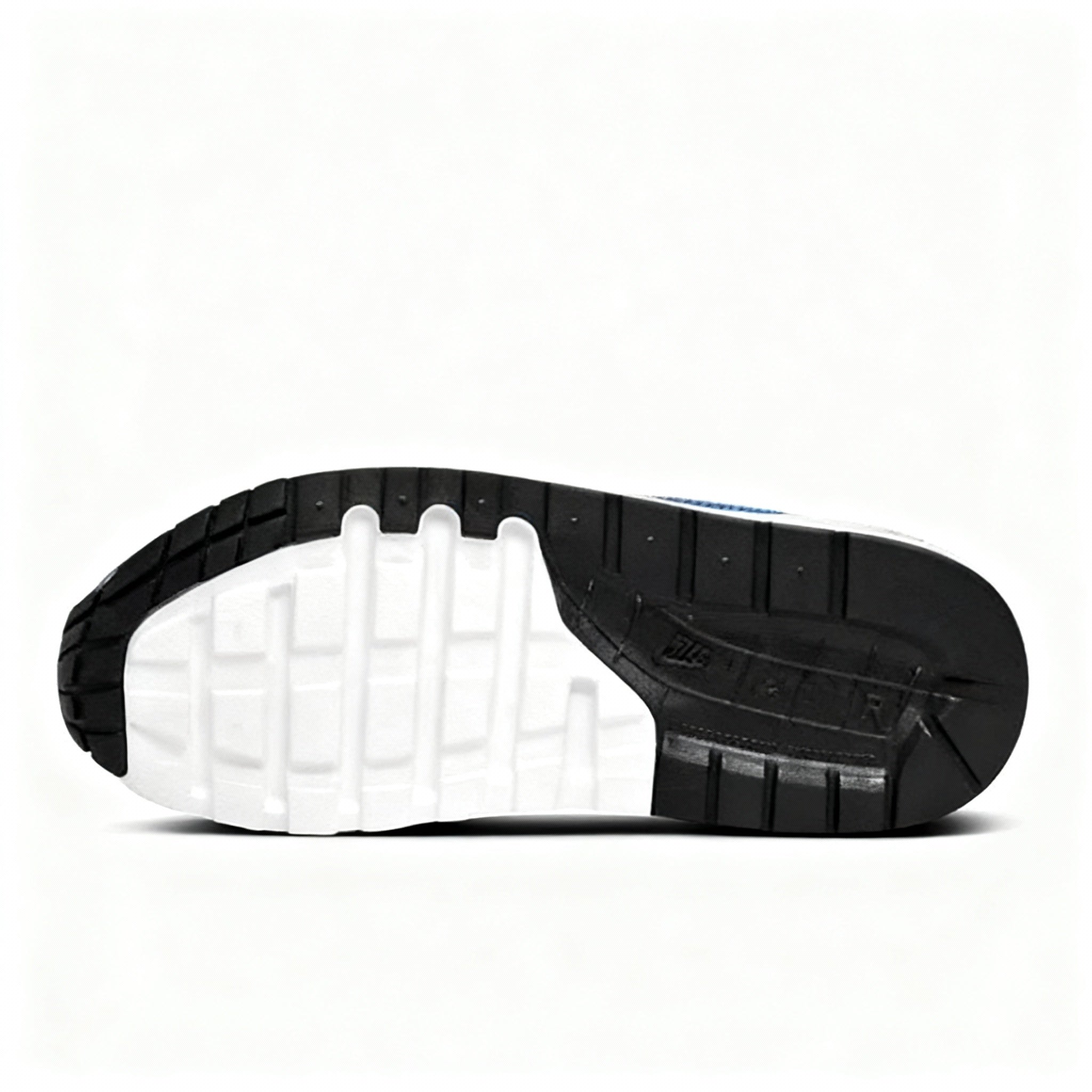 Air Max Womens 1 (GS)