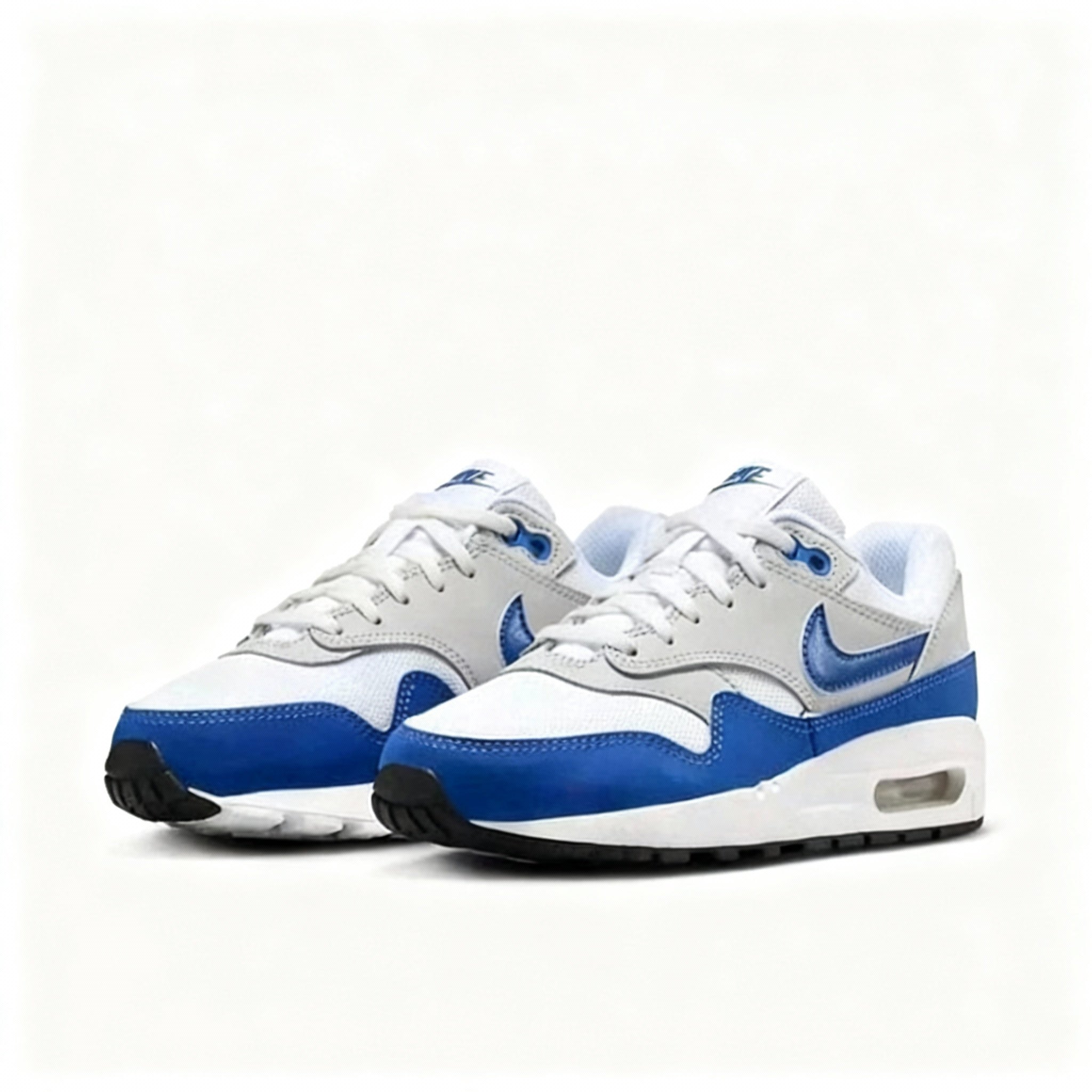 Air Max Womens 1 (GS)